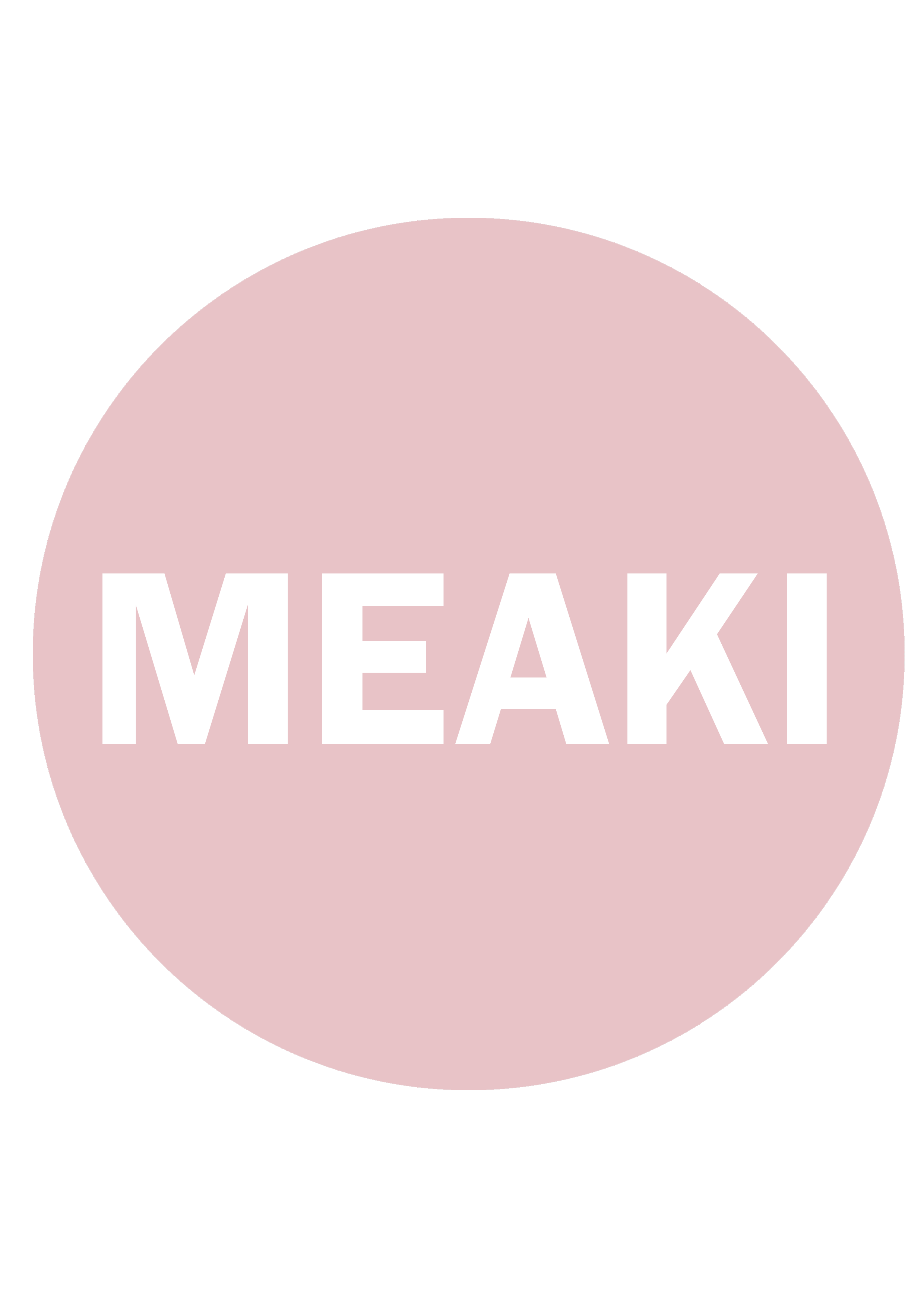 Meaki Logo